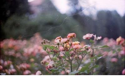 教师节祝福语简短4字