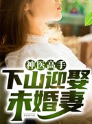 《神医高手：下山迎娶未婚妻》叶