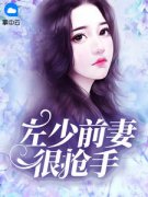 《左少前妻很抢手》by黛茜茜小说完