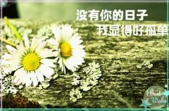 装瞎的导师全文免费阅读大结局_（