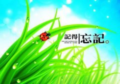 美人江宝（江盼顾云声）小说全文