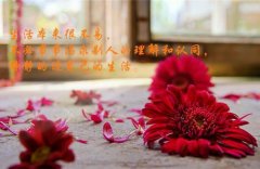 满级姐弟 （祁昭祁渊 ）全文免费阅