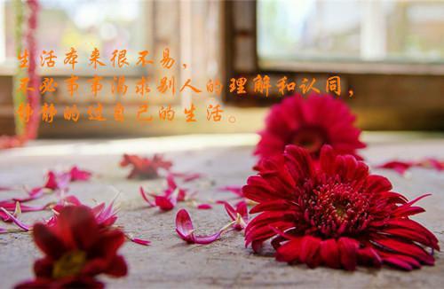 满级姐弟 （祁昭祁渊 ）全文免费阅读无弹窗大结局_ （满级姐弟 ）祁昭祁渊最新章节列表_笔趣阁（满级姐弟 ）