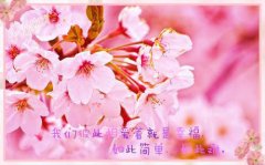 妖精的眼神（妖精的眼神）全文免