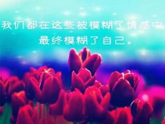 心灵星辰全文免费阅读无弹窗大结