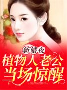 新婚夜，植物人老公当场惊醒(新书