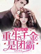 宋芝傅时晔主角的小说完结版《撩