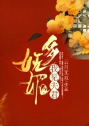 我见夫君多妩媚全文目录-贺锦书雁