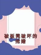 《被板凳破坏的抢婚》免费章节被