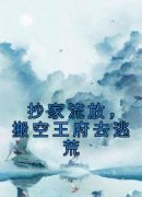 【抖音】抄家流放，搬空王府去逃