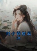 无广告小说封小锦崔奚沐-封小锦崔