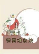 正版小说《情意难负浓》简亦宁陆