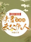 新婚夜，我发现夫君是我的杀父仇