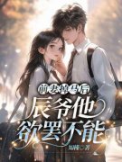 完整版《白日偷欢：离婚后前夫如