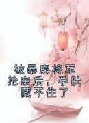 被暴戾将军抢亲后，孕肚藏不住了