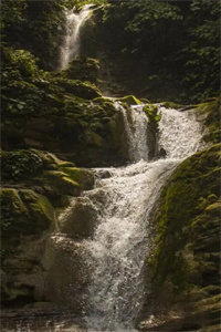 绿河离别小说全文免费阅读(芙蓉沈