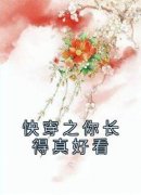 无广告小说快穿之你长得真好看-宸