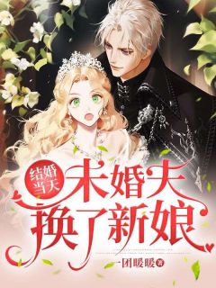 顾骄阳陆乘盛《结婚当天，未婚夫换了新娘》全文(顾骄阳陆乘盛)章节免费阅读