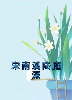 宋南溪陆庭深《宋南溪陆庭深》小说完整版