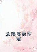 佚名写的小说《龙嘻嘻萧怀瑾》龙