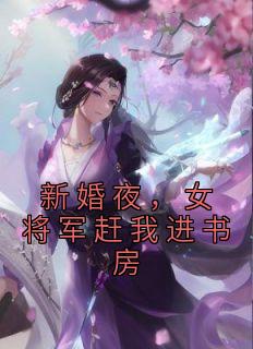 主角李子柒苏紫雪小说爆款《新婚夜，女将军赶我进书房》完整版小说