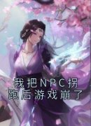 主角是苏意沈慕白的我把NPC拐跑后