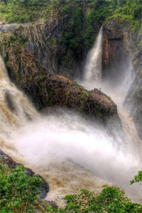 白虎心声小说(白麒宋筱雨)什么小说