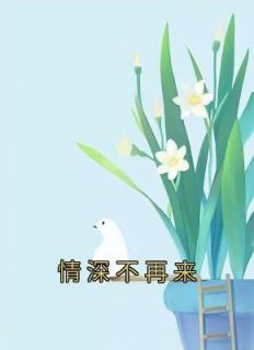 《新书》《情深不再来》主角苏婳时誉时蕊全文全章节小说阅读