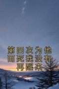 《小圆傅斯年》主角小说第四次为