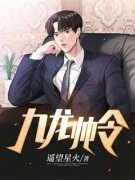 楚锋苏婉《九龙帅令》小说完整版