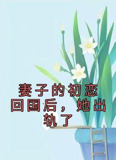 免费完结小说《妻子的初恋回国后，她出轨了云翊宋清宁》无弹窗免费阅读