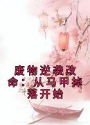 《废物逆袭改命：从马甲掉落开始