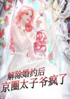 解除婚约后，京圈太子爷疯了免费小说作者花花全文阅读