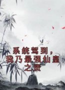 主人公李源张项在线免费试读《系