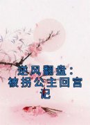 《逆风翻盘：被拐公主回宫记》b