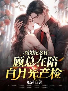 陆诗涵顾泽琛《结婚纪念日，顾总在陪白月光产检》全文(陆诗涵顾泽琛)章节免费阅读