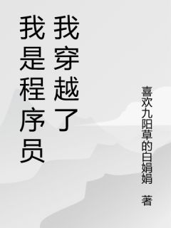 我是程序员我穿越了小说(完结)-禹珈赵畅畅无删减阅读