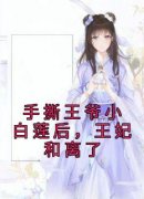 手撕王爷小白莲后，王妃和离了主角是司若南谢渊小说百度云全文完整版阅读