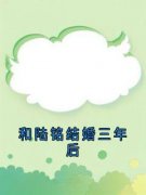 《和陆铭结婚三年后》夏瑶陆铭小说完整在线阅读