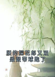 抖音朕的探花郎又双叒叕带球跑了txt小说阅读