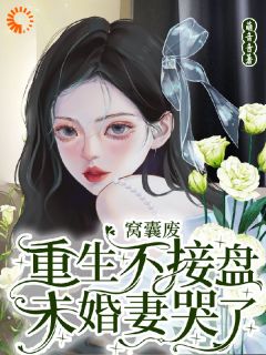 [抖音]小说沈昭衍李诗婉重生后，我踹了花心老婆