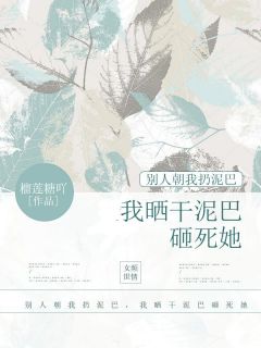 《别人朝我扔泥巴，我晒干泥巴砸死她》苏宸王安-小说未删减阅读