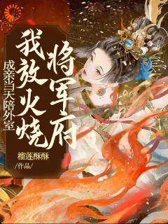 《抖音热推》木婉云沈阔全文在线阅读-《成亲当天陪外室，我放火烧将军府》全章节目录