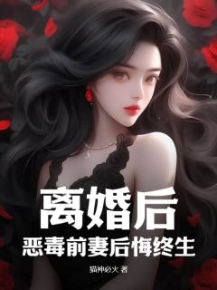 ***后，恶毒前妻后悔终生(苏晨孔雪燕)全文完整版阅读