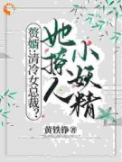 黄铁铮写的小说赘婿：清冷女总裁