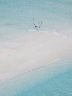 (热推新书)《重生之补偿我的真千金》宋时宇昭华无弹窗阅读