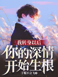 我转身以后，你的深情开始生根小说全集(陈年江莹宋风)无弹窗广告阅读