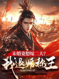 穿越成燕王世子杨凡(新书)小说_杨凡林清月阅读