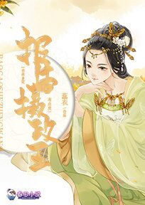 老书虫书荒推荐报告摄政王：你家皇妃有点皮txt小说阅读