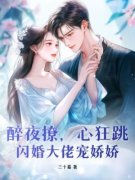 私藏读物《醉夜撩，心狂跳，闪婚